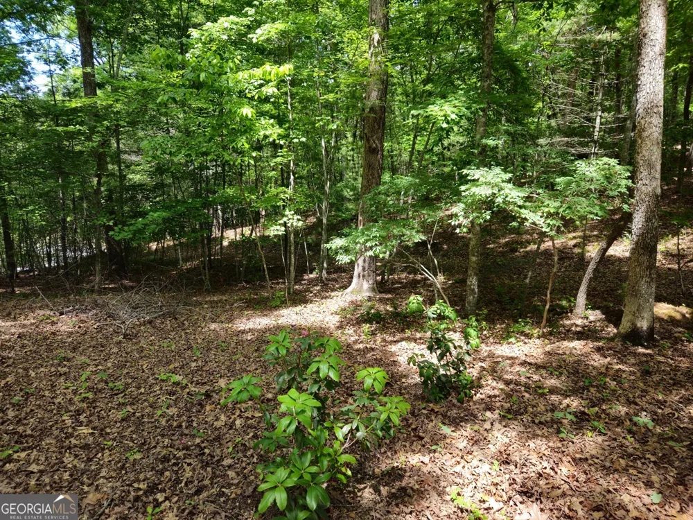211 Winding Brook TRL Morganton, GA 30560