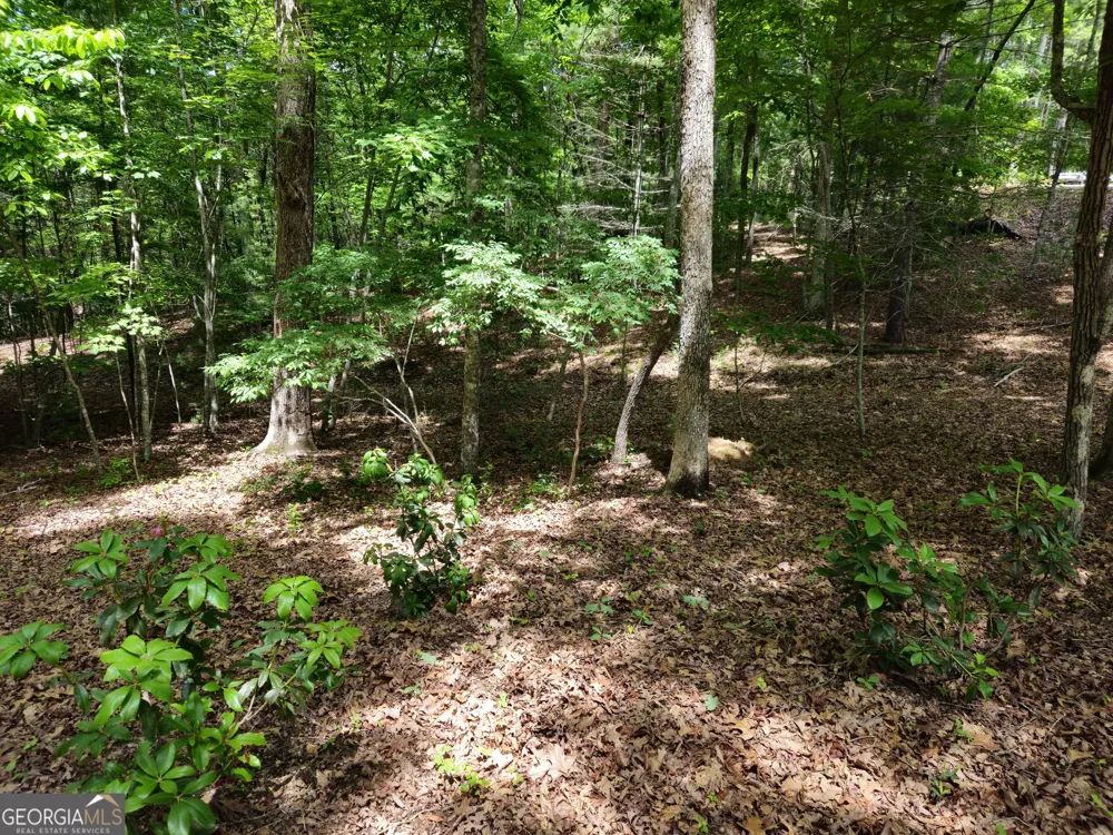 211 Winding Brook TRL Morganton, GA 30560