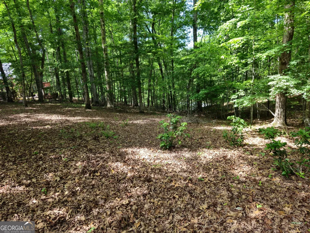 211 Winding Brook TRL Morganton, GA 30560