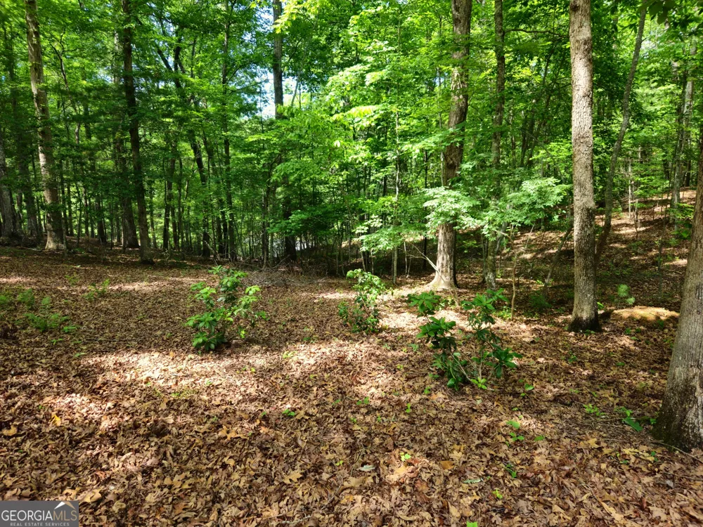 211 Winding Brook TRL Morganton, GA 30560