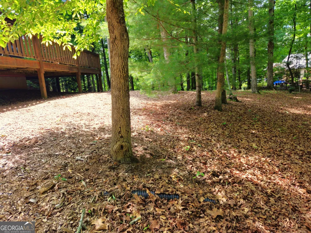 211 Winding Brook TRL Morganton, GA 30560