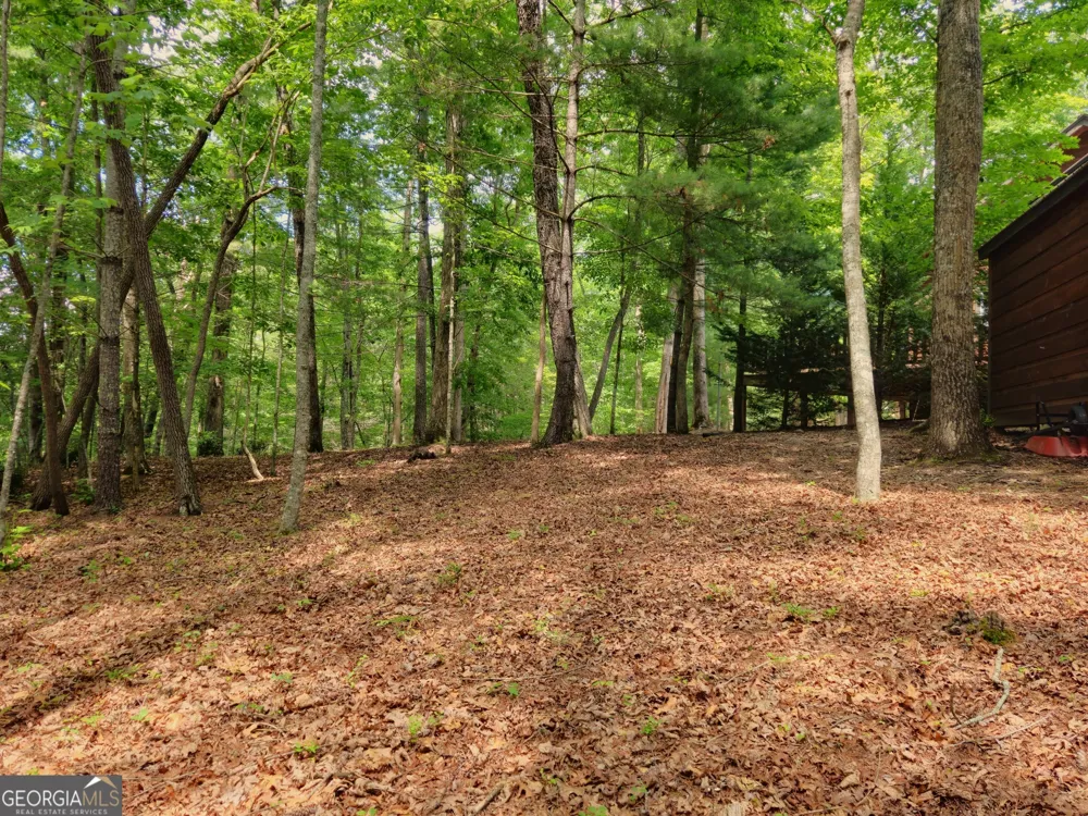 211 Winding Brook TRL Morganton, GA 30560