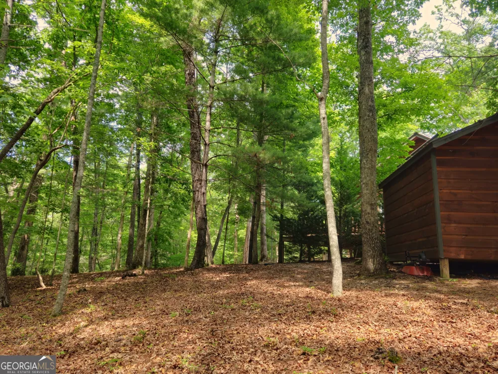 211 Winding Brook TRL Morganton, GA 30560