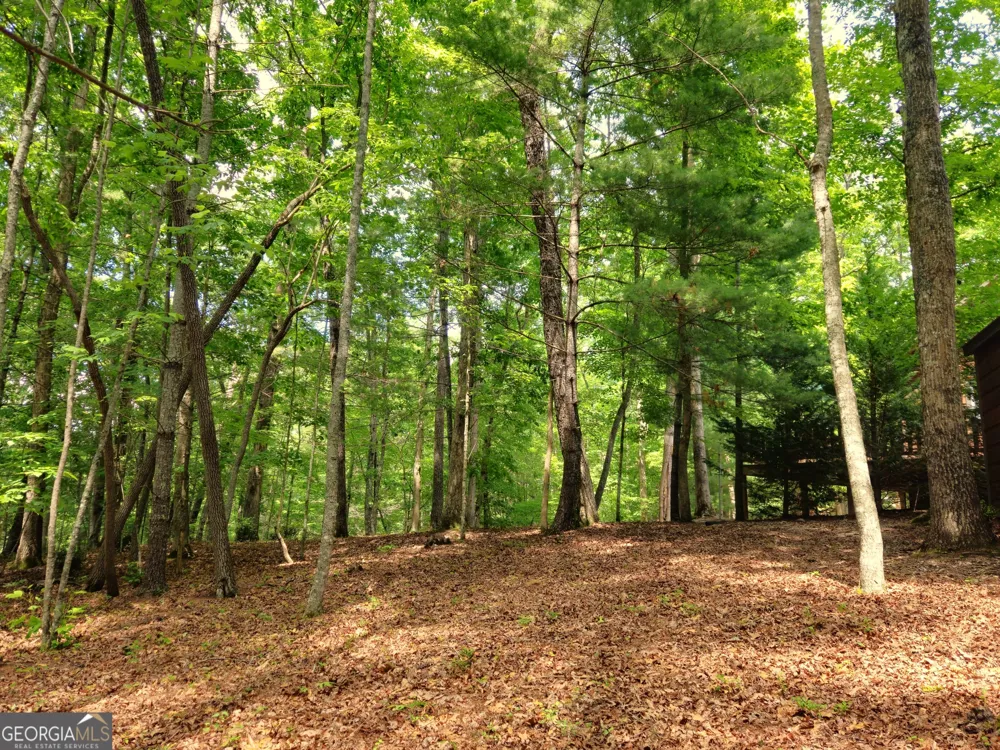 211 Winding Brook TRL Morganton, GA 30560