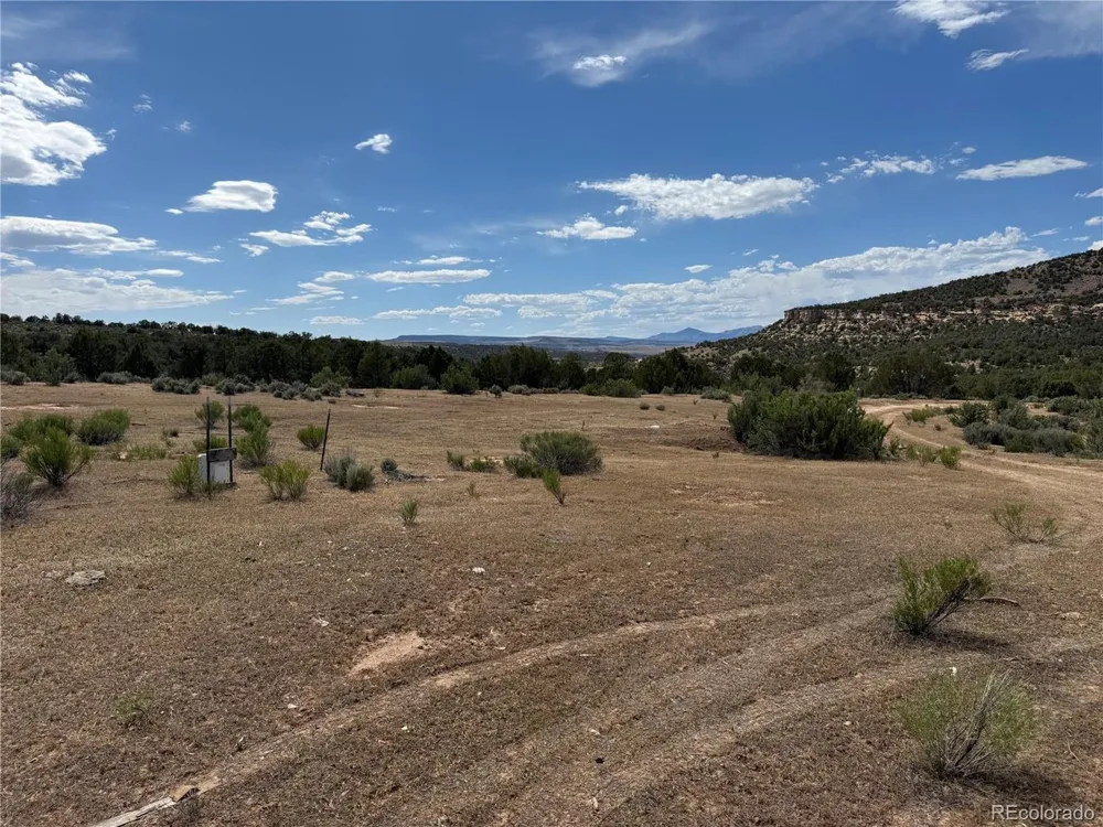 4530 Horse Canyon Road De Beque, CO 81630