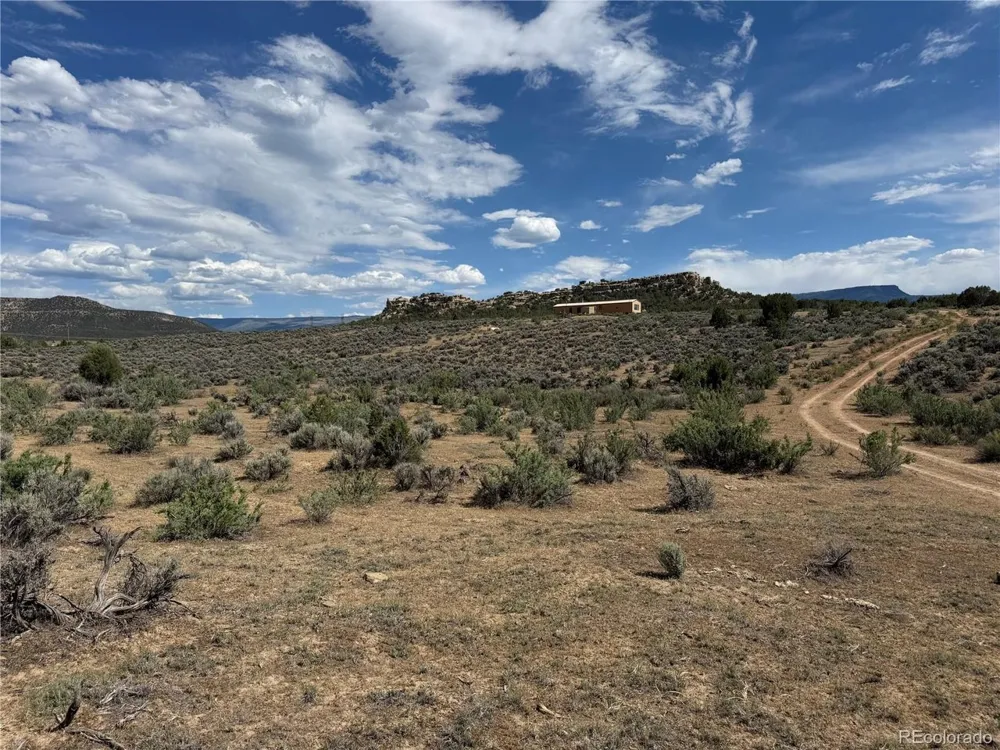 4530 Horse Canyon Road De Beque, CO 81630