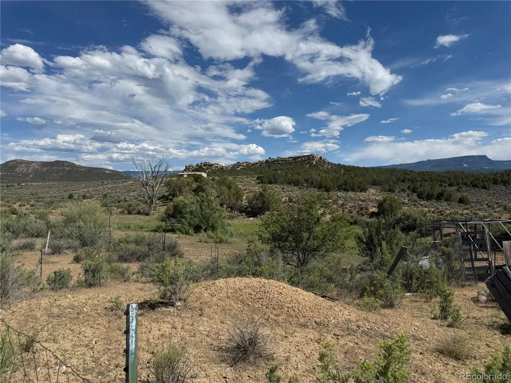 4530 Horse Canyon Road De Beque, CO 81630