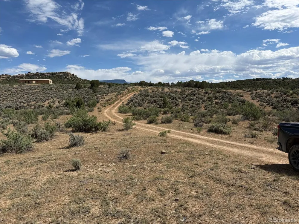 4530 Horse Canyon Road De Beque, CO 81630