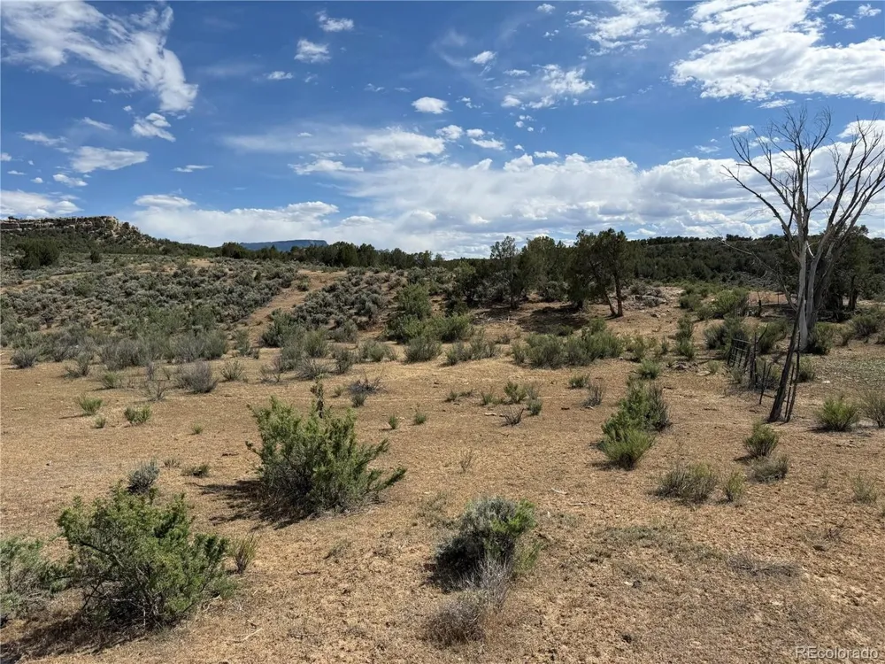 4530 Horse Canyon Road De Beque, CO 81630
