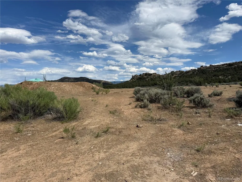 4530 Horse Canyon Road De Beque, CO 81630