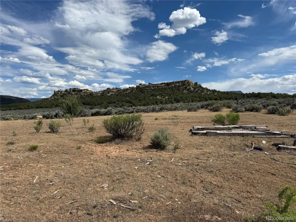 4530 Horse Canyon Road De Beque, CO 81630