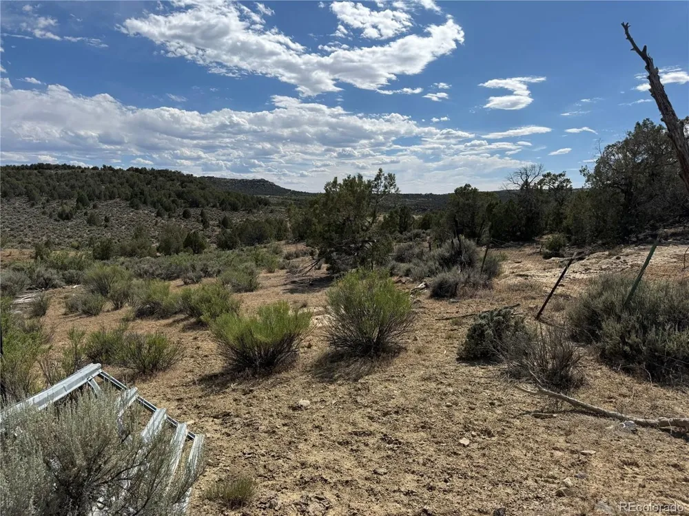 4530 Horse Canyon Road De Beque, CO 81630