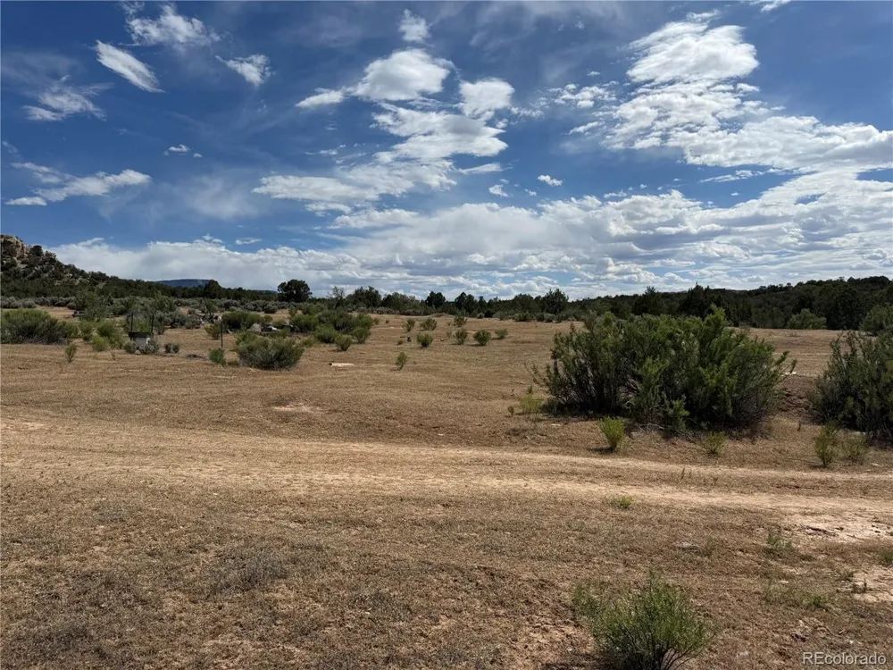 4530 Horse Canyon Road De Beque, CO 81630