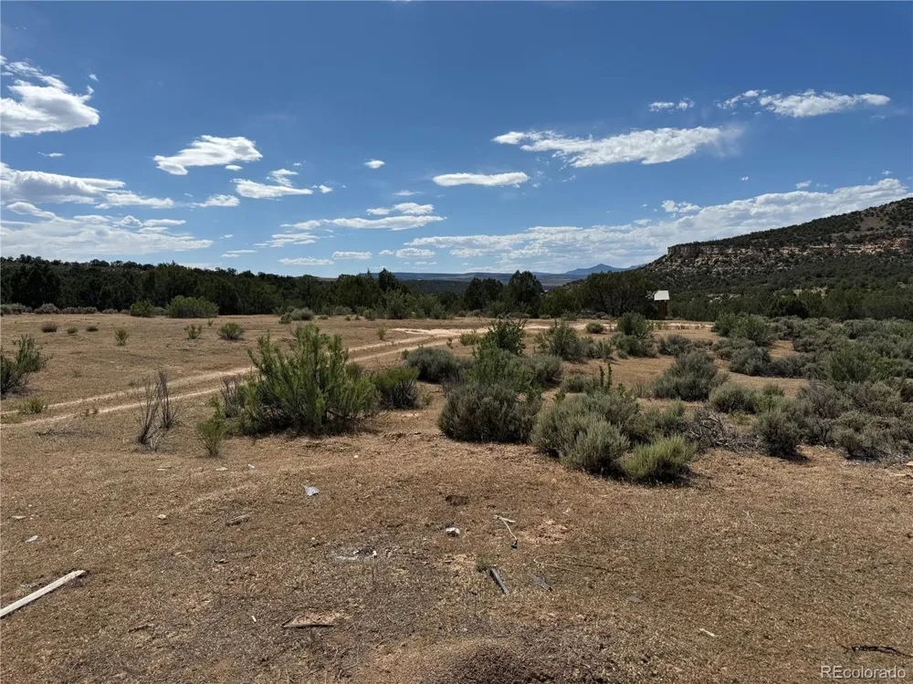 4530 Horse Canyon Road De Beque, CO 81630