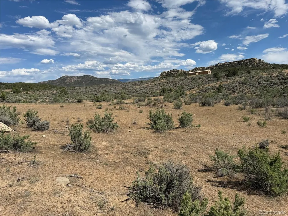 4530 Horse Canyon Road De Beque, CO 81630