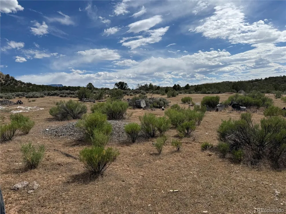4530 Horse Canyon Road De Beque, CO 81630