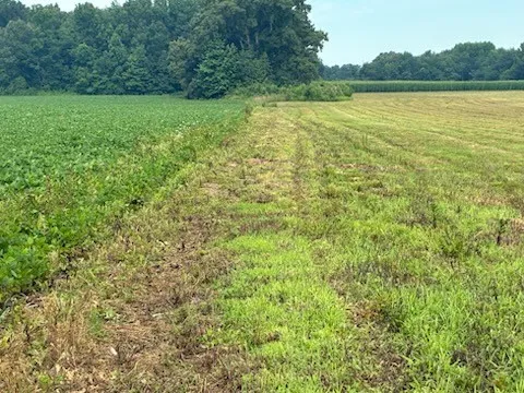 0 Rushing Road Ethridge, TN 38456