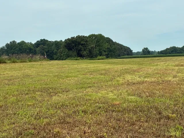 0 Rushing Road Ethridge, TN 38456