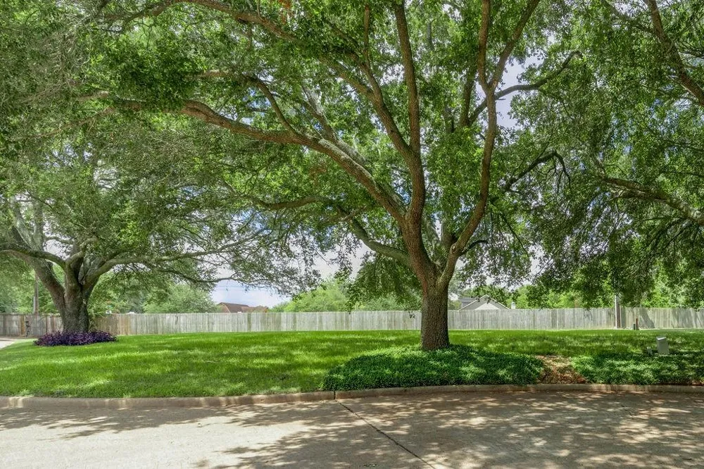 4511 Lake Village Drive Fulshear, TX 77441