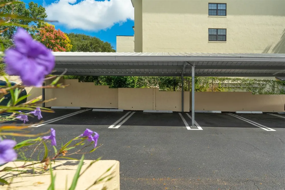 110 TREMAIN STREET #209 Mount Dora, FL 32757