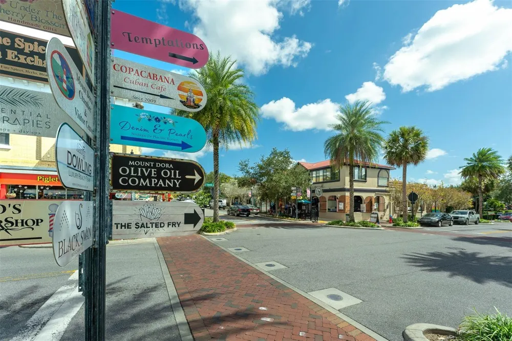 110 TREMAIN STREET #209 Mount Dora, FL 32757