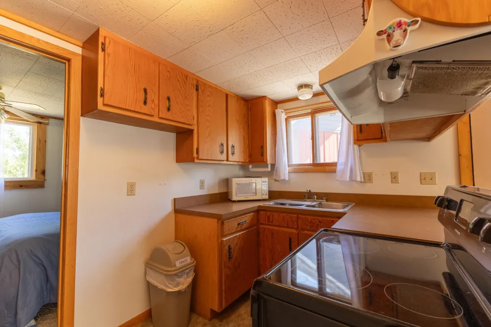 15169 Cranberry Drive Park Rapids, MN 56470