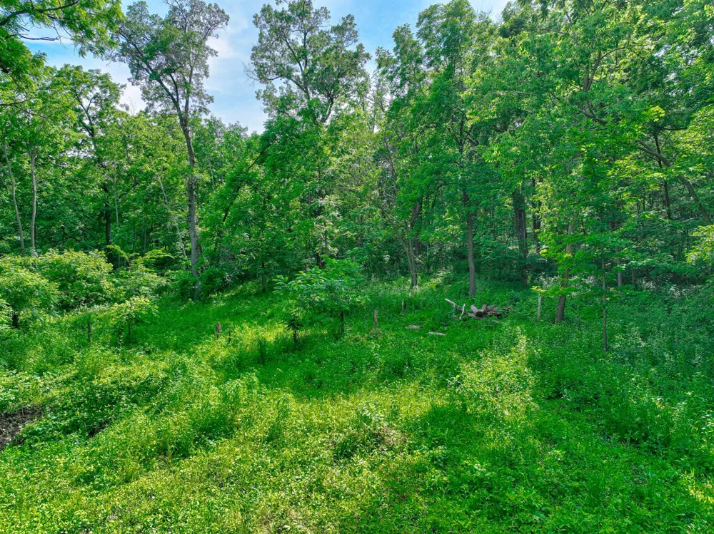 660 100th Street Roberts, WI 54023
