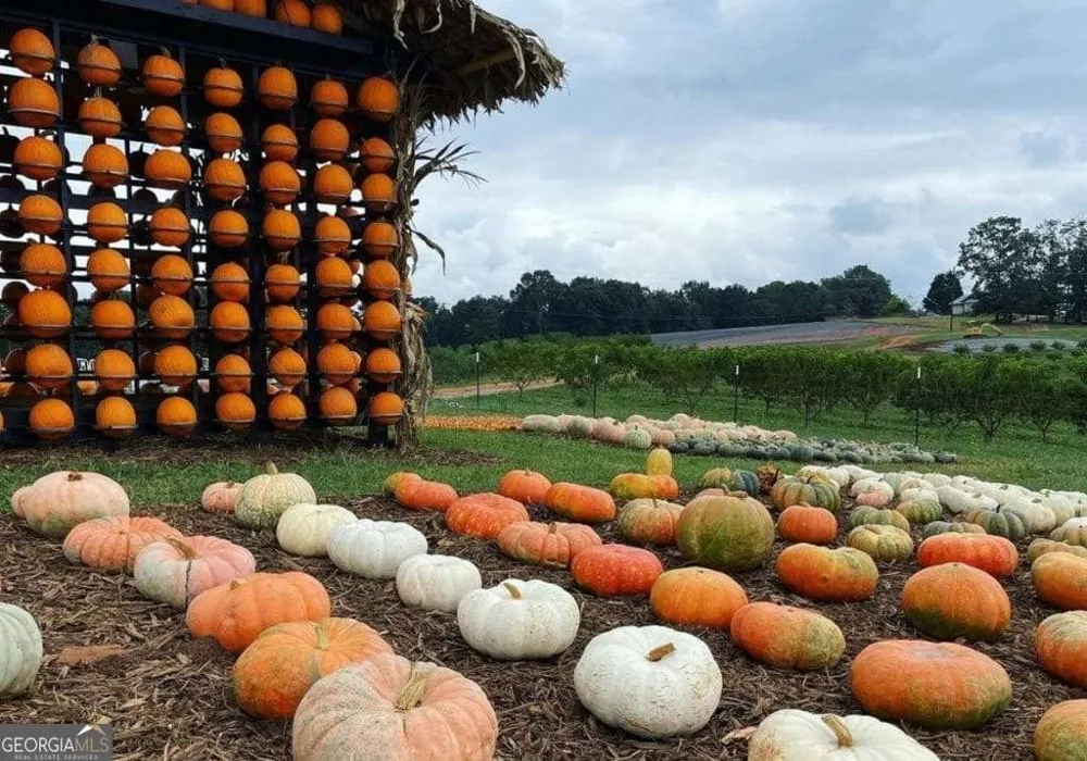 28 N Main ST Ellijay, GA 30540