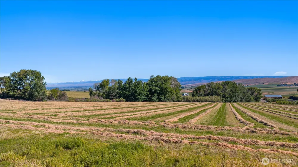 3 Borland Ellensburg, WA 98926