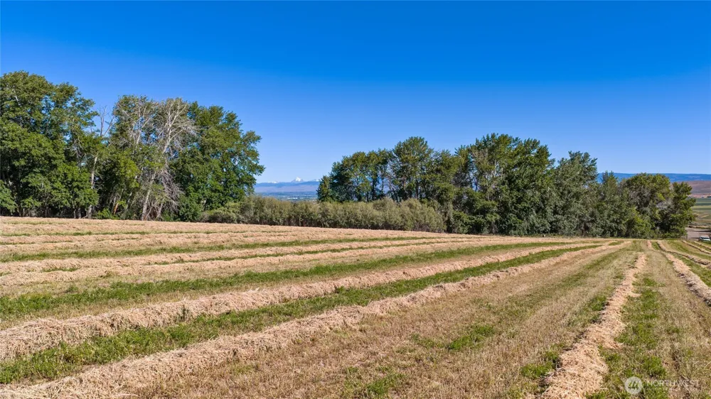 3 Borland Ellensburg, WA 98926