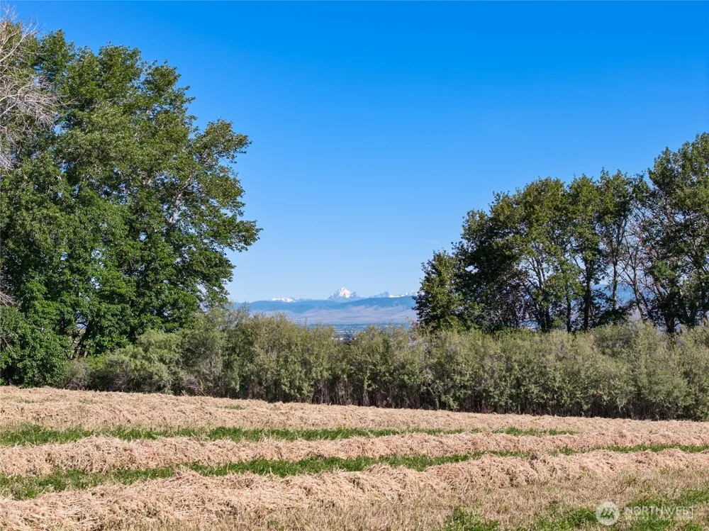 3 Borland Ellensburg, WA 98926