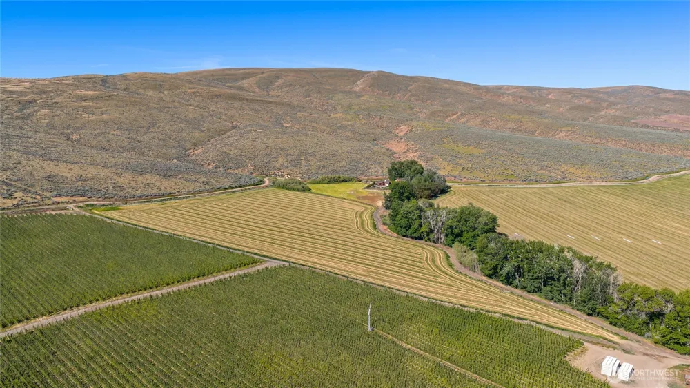 3 Borland Ellensburg, WA 98926