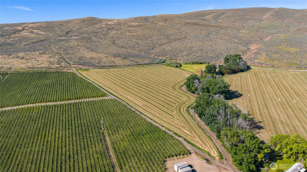 3 Borland Ellensburg, WA 98926