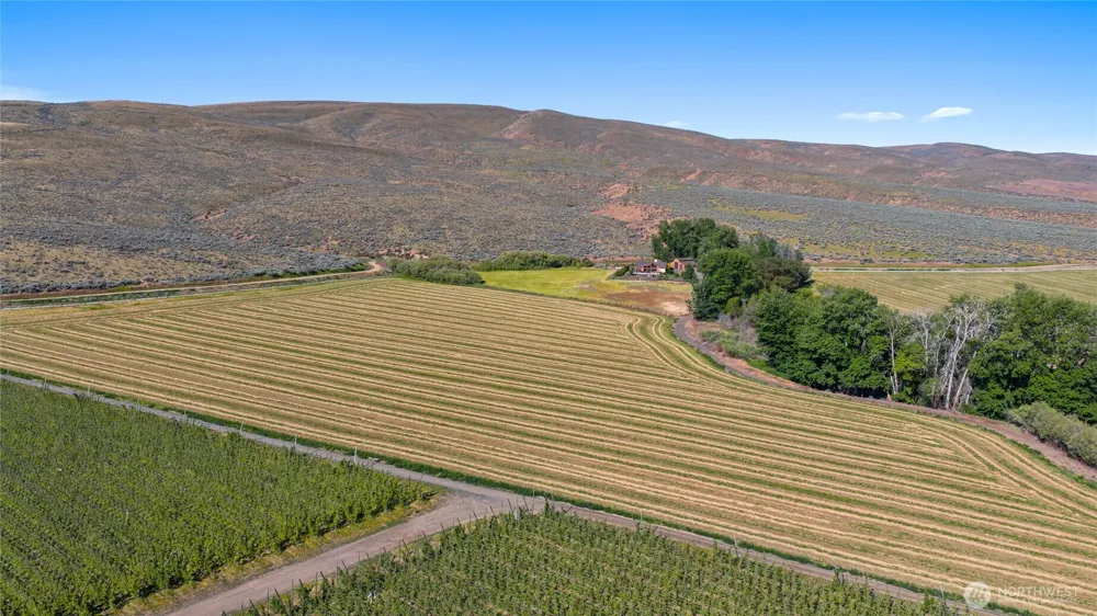 4 Borland Ellensburg, WA 98926