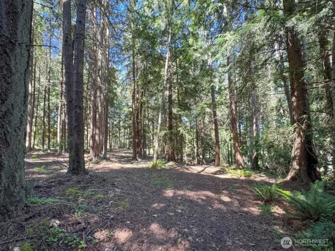 9999 Bagley Creek Road