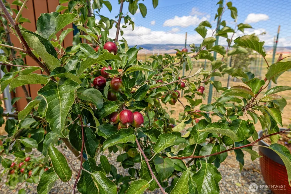 1630 Bitterbrush Drive Ellensburg, WA 98926