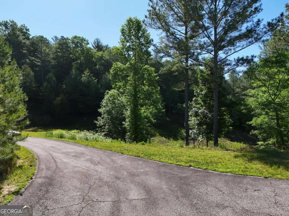LOT 2 Big Knoll DR Blairsville, GA 30512