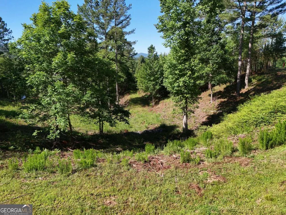 LOT 2 Big Knoll DR Blairsville, GA 30512