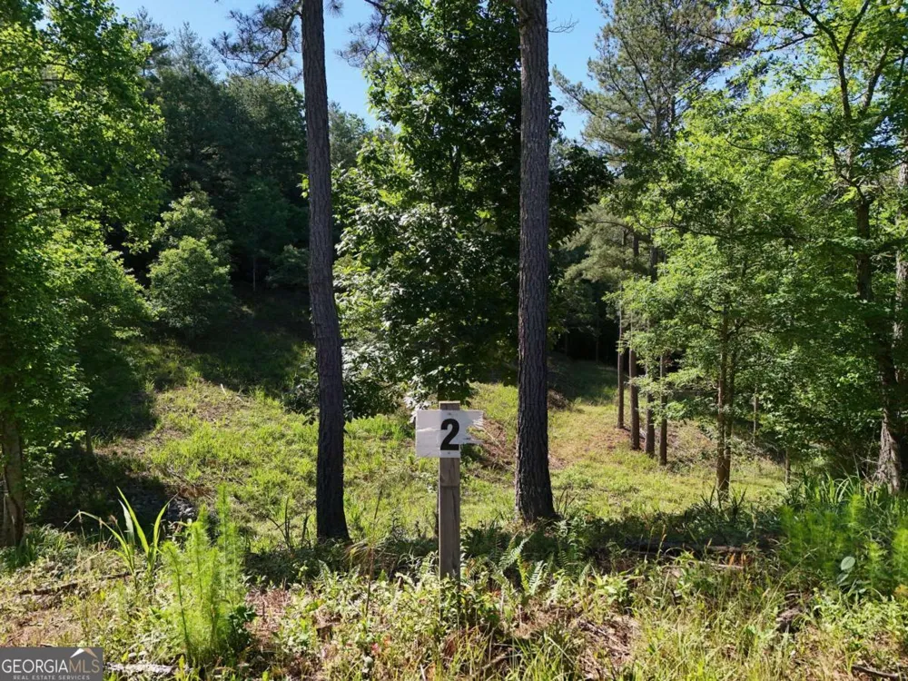 LOT 2 Big Knoll DR Blairsville, GA 30512