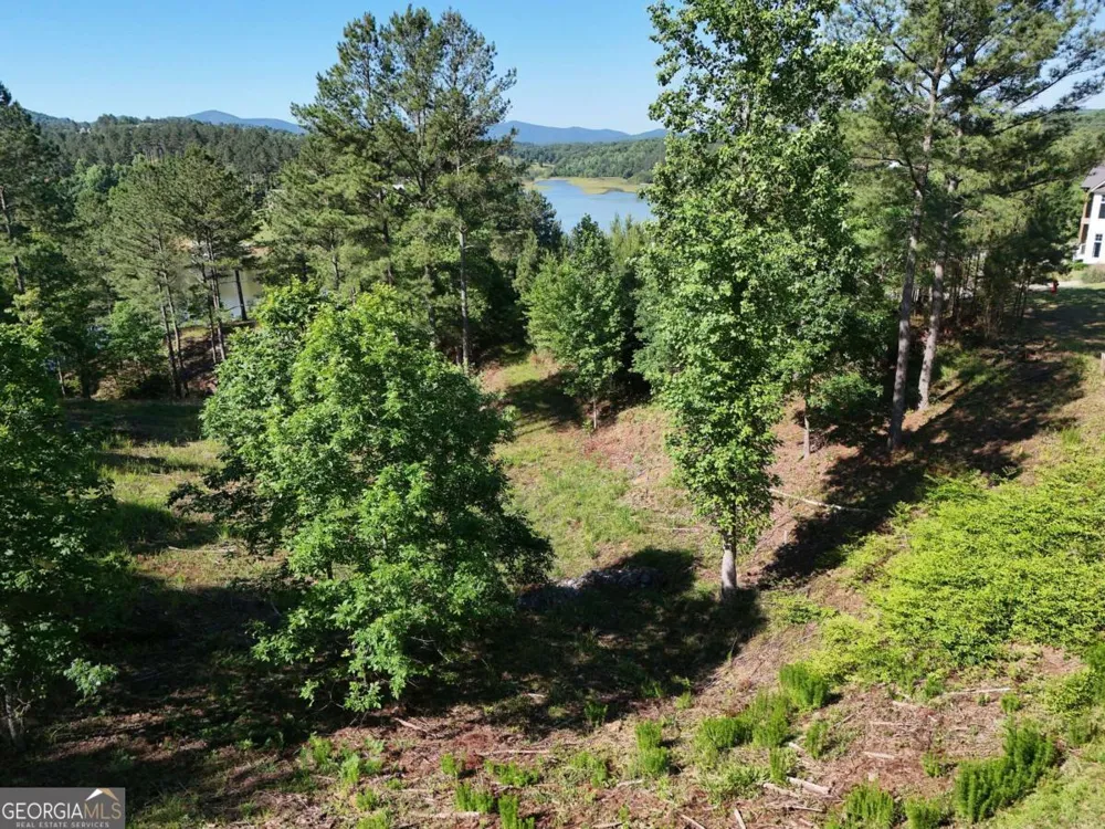 LOT 2 Big Knoll DR Blairsville, GA 30512