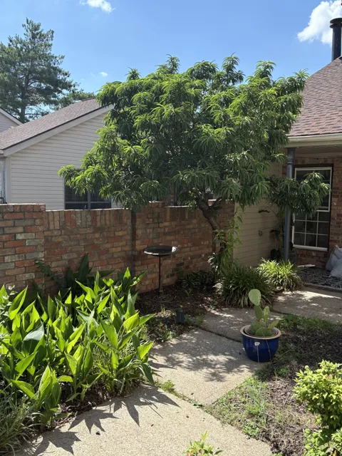 404 Laurel Hill Dr