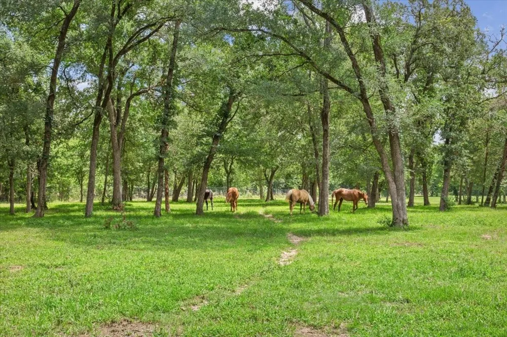 432 Lcr 456 Mexia, TX 76667