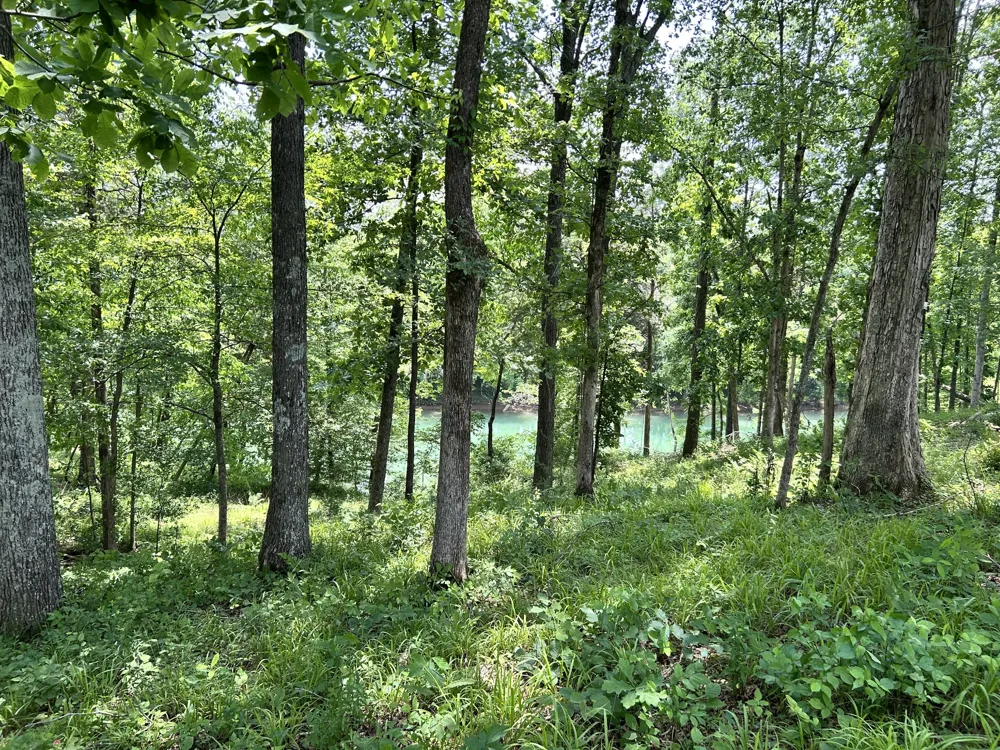 0 Anchor Bend Dr Rock Island, TN 38581