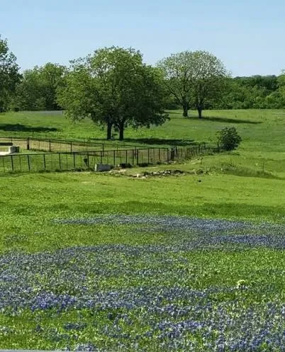 W Lot 31 Reserve At Chappell Hill Rd W Chappell Hill, TX 77880
