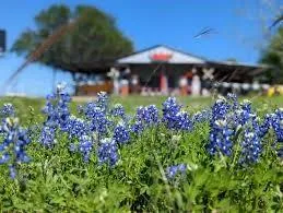 W Lot 31 Reserve At Chappell Hill Rd W Chappell Hill, TX 77880