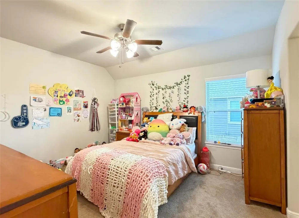 244 Upland Drive Waller, TX 77484