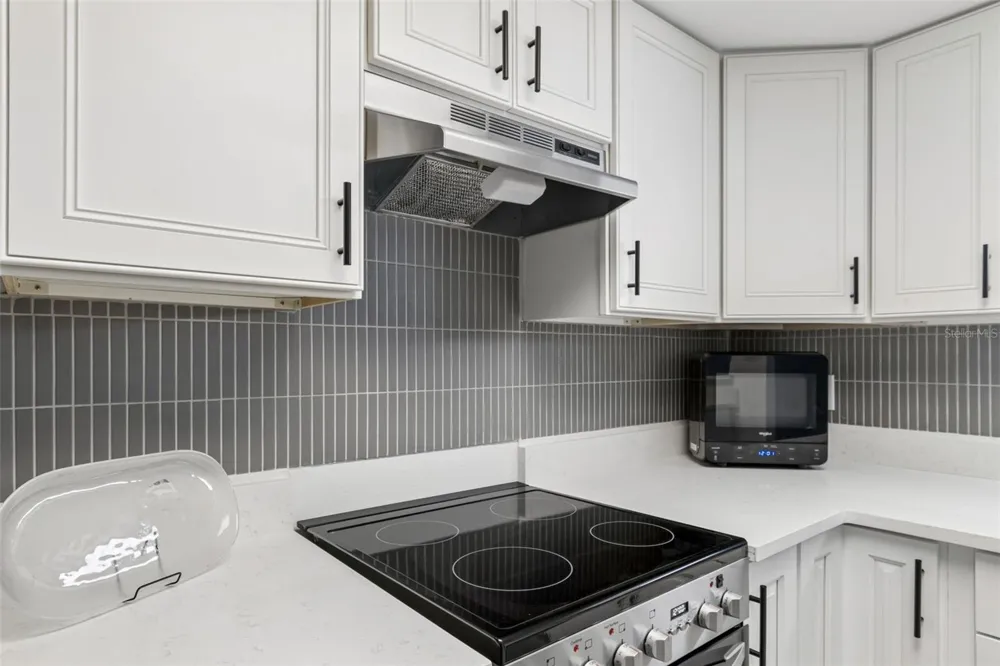 552 PLAZA SEVILLE COURT #97 Treasure Island, FL 33706