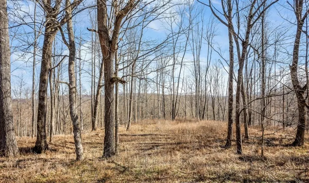 0 Forest Circle Sparta, TN 38583