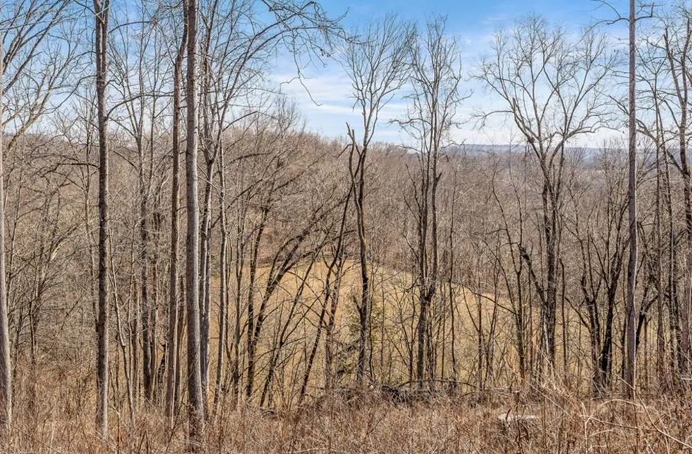 0 Forest Circle Sparta, TN 38583