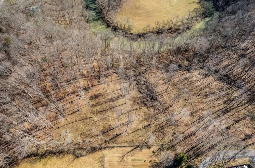 0 Forest Circle Sparta, TN 38583